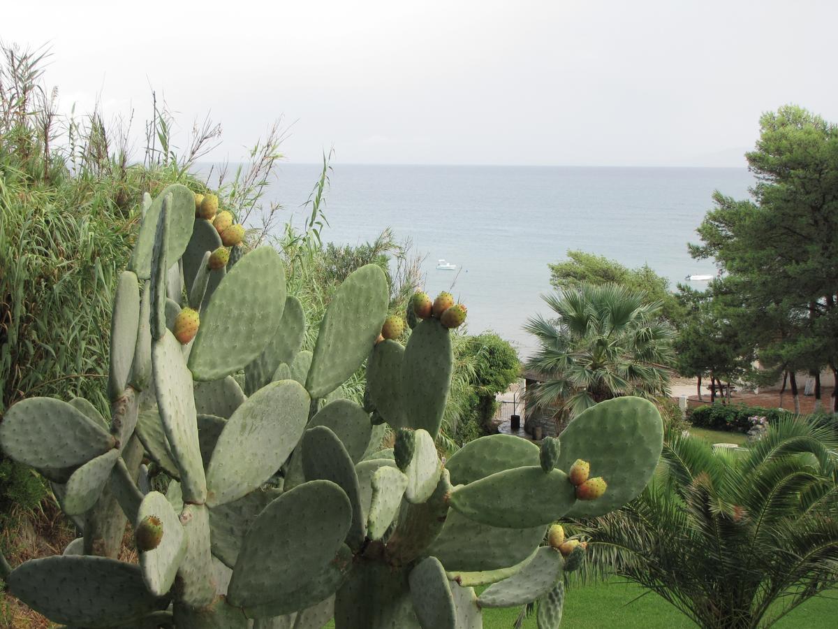 Panas 3* Spartia (Kefalonia)
