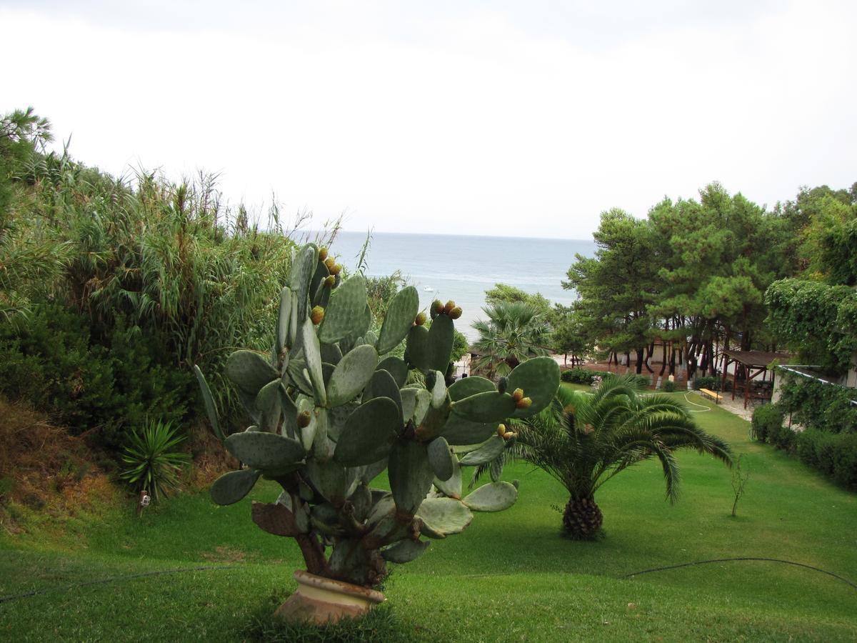 Hotel Panas